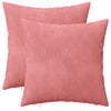 vidaXL Coussin avec oreiller HEERLEN 2 pi&egrave;ces Rose Velours