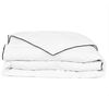 vidaXL Couette en duvet d'hiver 135 x 200 cm