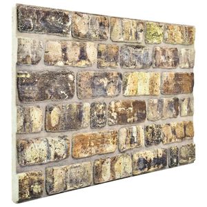 vidaXL Panneaux muraux 10 pc 100 x 50 cm Multicolore Mousse EPS