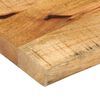 vidaXL Dessus de table 160x40x2,5cm bord vif bois massif manguier brut