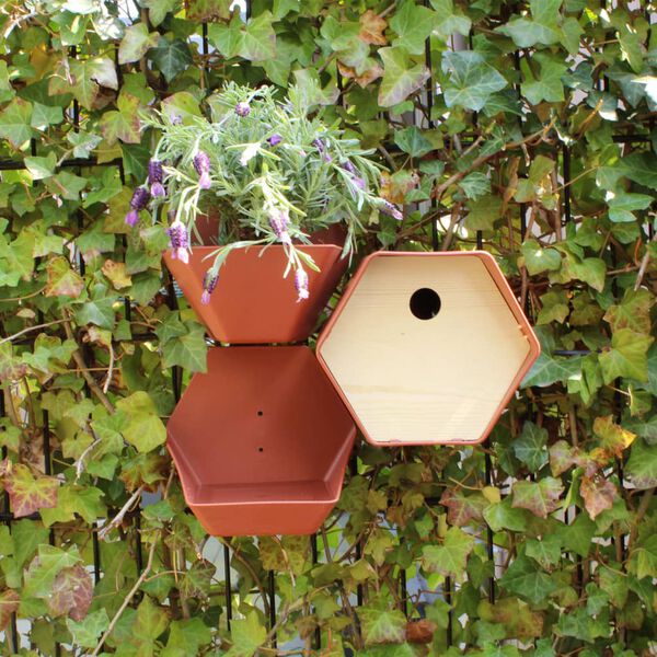 Capi Maison &agrave; oiseaux Hive 1 19x23x20 cm trou rond marron