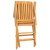 vidaXL Chaises pliantes, lot de 8, 61 x 67 x 90 cm, en bois de teck massif