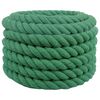 vidaXL Corde en coton 60 mm 10 m Vert 100% Coton