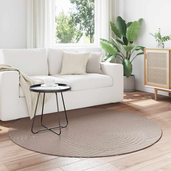 vidaXL Tapis de surface Rond Beige &Oslash; 160 CM