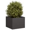 Vignette du produit 2 sur 9