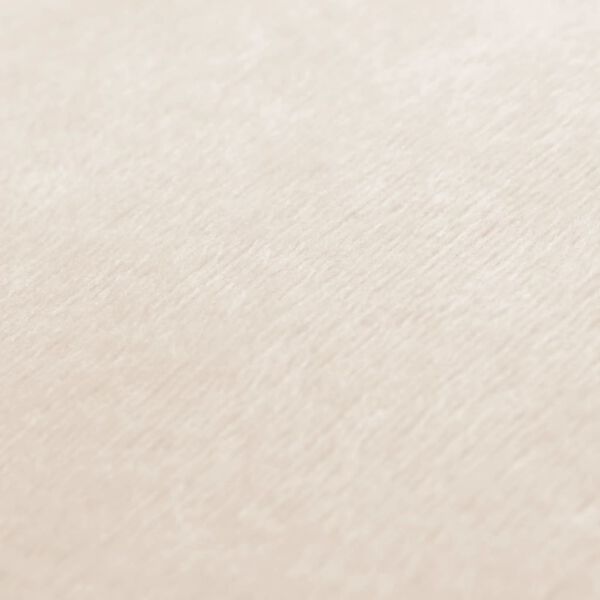 vidaXL Coussins lot de 2 Tissu 40x60 cm Blanc cass&eacute;