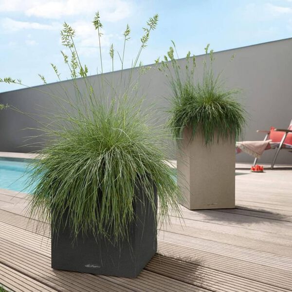 LECHUZA Jardini&egrave;re CANTO Stone 30 Low ALL-IN-ONE Noir graphite