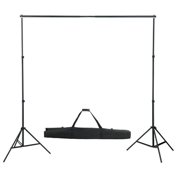 vidaXL Kit de studio photo boîtes à lumière toile de fond réflecteur
