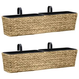 vidaXL Jardini&egrave;res 2 pcs Jacinthe d'eau