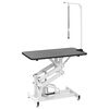 Table Toilettage Ajustable Hydraulique pour Chiens Chats Animaux