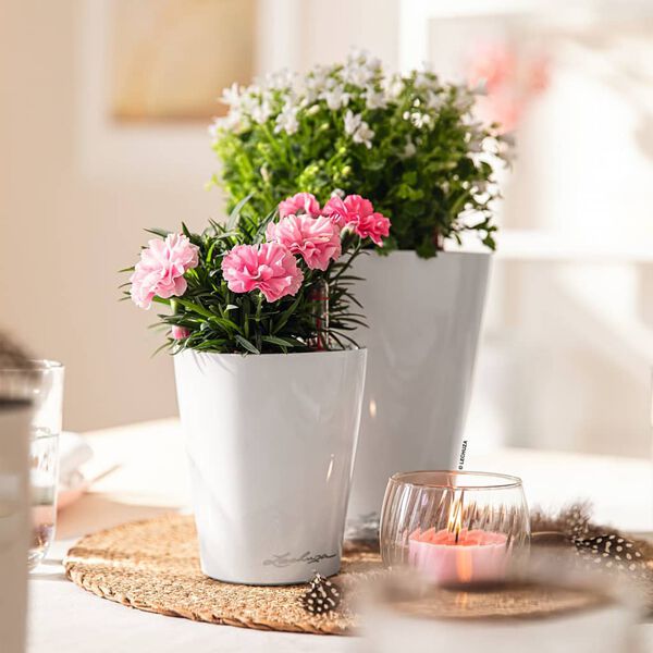 LECHUZA Jardini&egrave;re MINI DELTINI ALL-IN-ONE Blanc