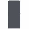 vidaXL Armoire de rangement Anthracite 80 x 40 x 90 cm Acier