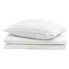 vidaXL Duvet d'été simple avec oreiller 2 pcs Blanc Plume de canard