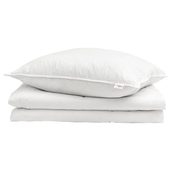 vidaXL Duvet d'été simple avec oreiller 2 pcs Blanc Plume de canard