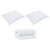 vidaXL Couette avec Oreillers avec oreiller 3 pcs Blanc Microfibre