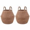 vidaXL Pot de plante avec poign&eacute;es 2 pc Naturel &Oslash; 22 x 20 cm