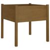 vidaXL Jardini&egrave;res 2 pcs Marron miel 70x70x70 cm Bois de pin massif
