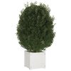 vidaXL Jardinières d'extérieur 2 pcs Blanc 40x40x40 cm Bois de pin