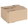 vidaXL Bo&icirc;te Pliable 50 pcs Naturel 20 x 15 x 10 cm Carton