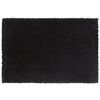 vidaXL Tapis de porte noir 40x60 cm fibre de coco touffeté