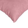 vidaXL Coussins de canap&eacute; 2 pcs Rose 50 x 30 cm