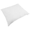 vidaXL Duvet d'&eacute;t&eacute; simple avec oreiller 2 pcs Blanc Plume de canard