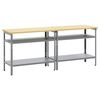 vidaXL Ensemble d'&eacute;tabli 2 pc Beige et gris Acier enduit de poudre