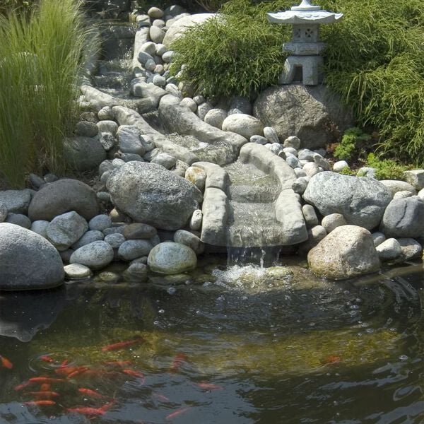 Ubbink Filtre pour bassin Filtramax 12500 PlusSet 1355071