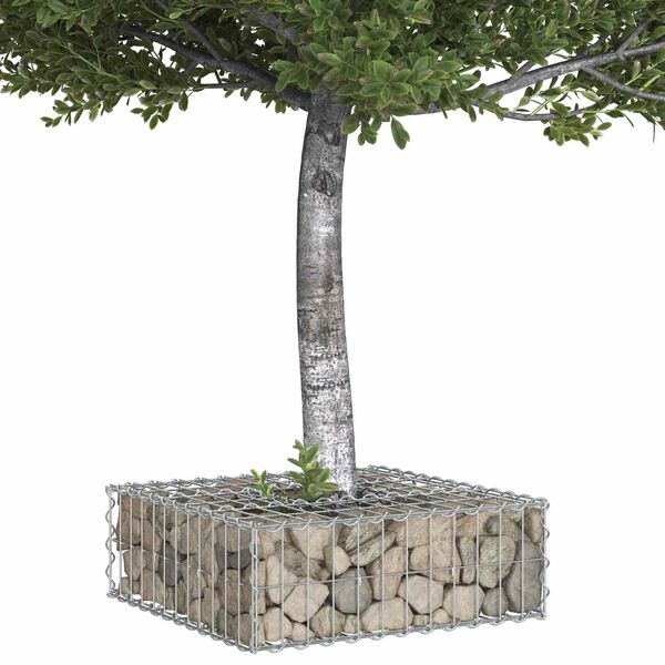 vidaXL Lit sur&eacute;lev&eacute; gabion Argent&eacute; 60 x 60 x 20 cm Acier galvanis&eacute;