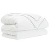 vidaXL Duvet complet toute l'ann&eacute;e Blanc 200 x 200 cm Fibre de bambou