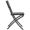 vidaXL Chaises pliables de jardin lot de 2 PEHD et acier