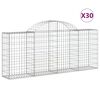 vidaXL Paniers &agrave; gabions arqu&eacute;s 30 pcs 200x30x80/100 cm Fer galvanis&eacute;