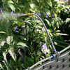 Vignette du produit 5 sur 10