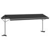 vidaXL Auvent sur pied 600 x 300 cm Anthracite