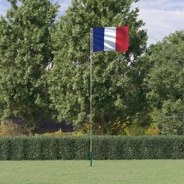 vidaXL Drapeau de la France et mât 5,55 m Aluminium