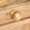 vidaXL Buffet 110x35x75 cm Bois massif de manguier