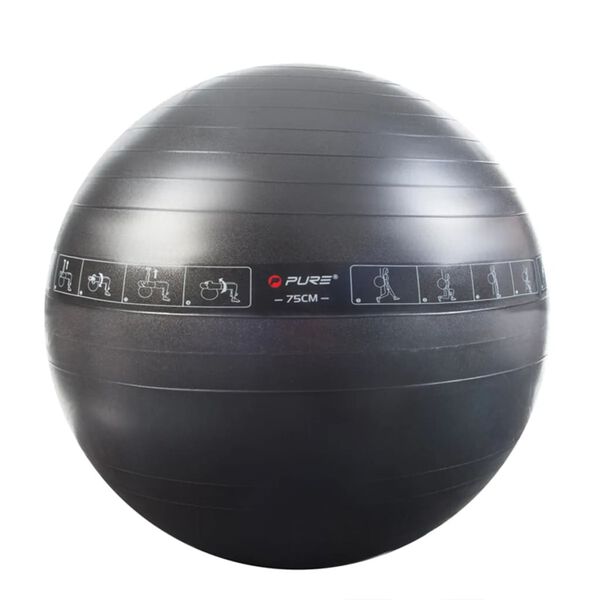 Pure2Improve Ballon d'exercice 75 cm Noir