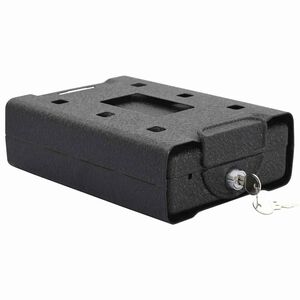 vidaXL Coffre de voiture avec verrouillage Noir 22 x 16 x 7 cm Acier