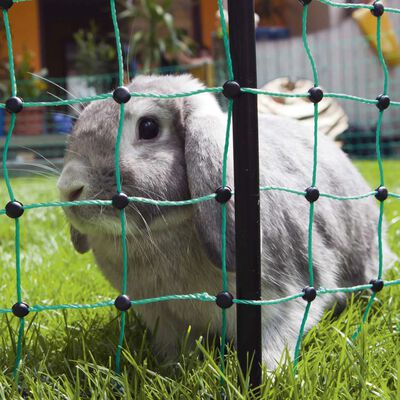 Kerbl Filet électrifié de clôture pour lapins 65 cm 292209