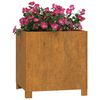 vidaXL Jardini&egrave;res avec pieds 2 pcs Rouill&eacute; 40x40x40 cm Acier corten