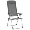 vidaXL Chaises de camping pliables lot de 2 Gris Aluminium