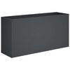 vidaXL Cache-pot de jardin Anthracite 100 x 30 x 40 cm