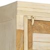 vidaXL Garde-robe bois de manguier massif 60x50x200 cm