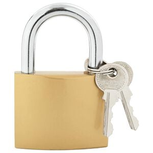 vidaXL U Lock avec Cl&eacute;s 12 pcs Laiton Fer