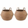 vidaXL Pot de plante avec poign&eacute;es 2 pcs Naturel &Oslash; 32 x 32 cm