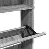 vidaXL Armoire &agrave; chaussures miroir 4 niveaux sonoma gris 63x17x134 cm