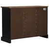 vidaXL Buffet HALDEN 2 portes coulissantes noir 112x40x80 cm
