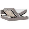 vidaXL Lit de Rangement 2 pi&egrave;ces Taupe Cuir synth&eacute;tique