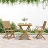 vidaXL Chaises pliables de jardin lot de 2 bois massif d'acacia