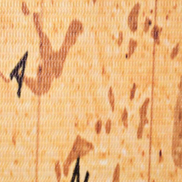 vidaXL Cloison de séparation pliable 160 x 170 cm Carte du monde Jaune